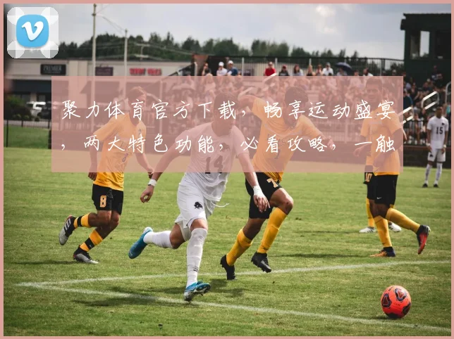 聚力体育官方下载，畅享运动盛宴，两大特色功能，必看攻略，一触即达