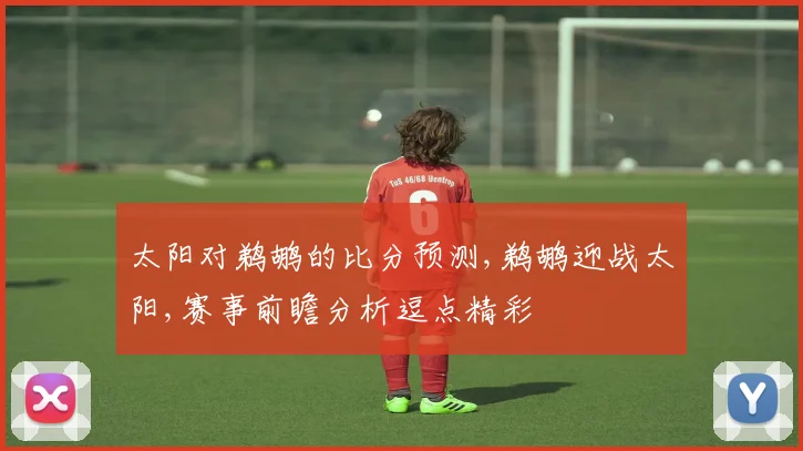 太阳对鹈鹕的比分预测,鹈鹕迎战太阳,赛事前瞻分析逗点精彩
