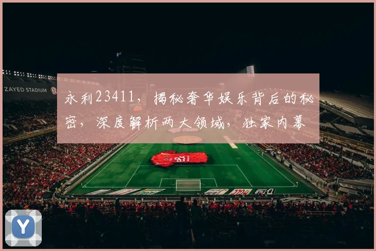 永利23411，揭秘奢华娱乐背后的秘密，深度解析两大领域，独家内幕曝光