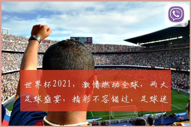 世界杯2021，激情燃动全球，两大足球盛宴，精彩不容错过，足球迷必看